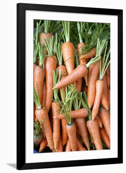 Stack of Orange Carrots-Bjorn Svensson-Framed Photographic Print