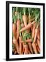 Stack of Orange Carrots-Bjorn Svensson-Framed Photographic Print