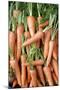 Stack of Orange Carrots-Bjorn Svensson-Mounted Photographic Print