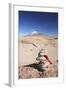 Stack of Prayer Stones on Altiplano, Potosi Department, Bolivia, South America-Ian Trower-Framed Photographic Print