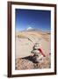 Stack of Prayer Stones on Altiplano, Potosi Department, Bolivia, South America-Ian Trower-Framed Photographic Print