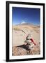 Stack of Prayer Stones on Altiplano, Potosi Department, Bolivia, South America-Ian Trower-Framed Photographic Print