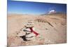 Stack of Prayer Stones on Altiplano, Potosi Department, Bolivia, South America-Ian Trower-Mounted Photographic Print