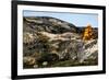 Stack of Stones in Greenland-Françoise Gaujour-Framed Photographic Print