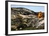 Stack of Stones in Greenland-Françoise Gaujour-Framed Photographic Print