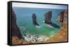 Stack Rocks, Castlemartin, Pembrokeshire Coast, Wales, United Kingdom-Billy Stock-Framed Stretched Canvas