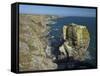 Stack Rocks, Pembrokeshire Coast National Park, Wales, United Kingdom, Europe-Peter Barritt-Framed Stretched Canvas