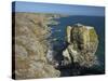 Stack Rocks, Pembrokeshire Coast National Park, Wales, United Kingdom, Europe-Peter Barritt-Stretched Canvas