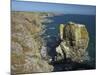 Stack Rocks, Pembrokeshire Coast National Park, Wales, United Kingdom, Europe-Peter Barritt-Mounted Photographic Print