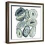 Stacked Agate II-Grace Popp-Framed Art Print