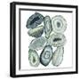 Stacked Agate II-Grace Popp-Framed Art Print