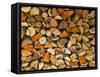 Stacked Firewood, Lithuania-Keren Su-Framed Stretched Canvas