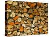 Stacked Firewood, Lithuania-Keren Su-Stretched Canvas