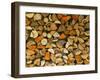 Stacked Firewood, Lithuania-Keren Su-Framed Photographic Print