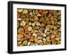 Stacked Firewood, Lithuania-Keren Su-Framed Photographic Print