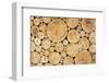 Stacked Logs Background-wasja-Framed Premium Photographic Print