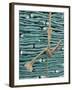 Stacked Nopales, 2002-Pedro Diego Alvarado-Framed Giclee Print