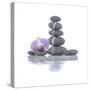 Stacked of Striped Stones and Orchid-Apollofoto-Stretched Canvas