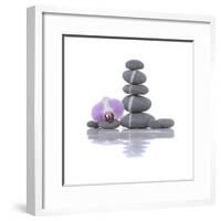 Stacked of Striped Stones and Orchid-Apollofoto-Framed Photographic Print