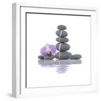 Stacked of Striped Stones and Orchid-Apollofoto-Framed Photographic Print