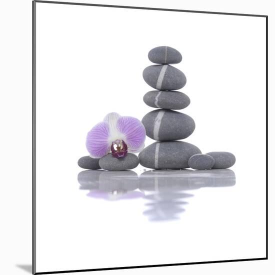 Stacked of Striped Stones and Orchid-Apollofoto-Mounted Photographic Print