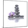 Stacked of Striped Stones and Orchid-Apollofoto-Mounted Photographic Print