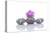 Stacked of Striped Stones and Pink Orchid-Apollofoto-Stretched Canvas