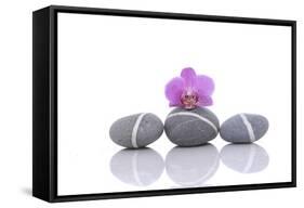 Stacked of Striped Stones and Pink Orchid-Apollofoto-Framed Stretched Canvas