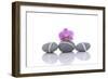 Stacked of Striped Stones and Pink Orchid-Apollofoto-Framed Photographic Print