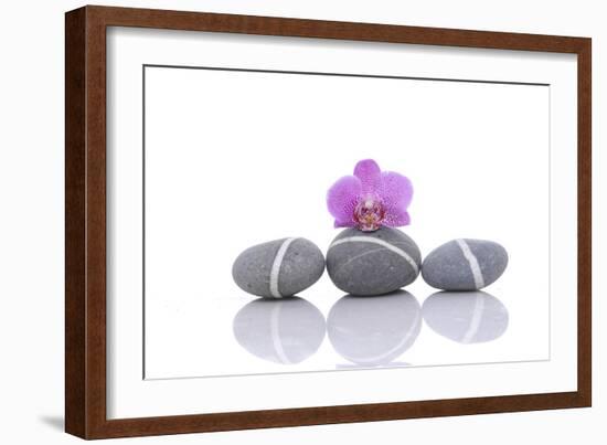 Stacked of Striped Stones and Pink Orchid-Apollofoto-Framed Photographic Print