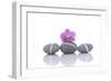 Stacked of Striped Stones and Pink Orchid-Apollofoto-Framed Photographic Print