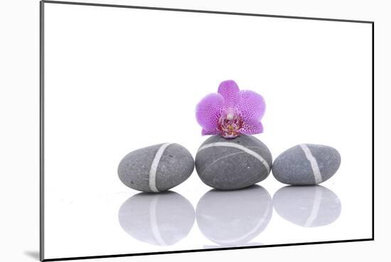 Stacked of Striped Stones and Pink Orchid-Apollofoto-Mounted Photographic Print