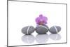 Stacked of Striped Stones and Pink Orchid-Apollofoto-Mounted Photographic Print