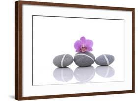 Stacked of Striped Stones and Pink Orchid-Apollofoto-Framed Photographic Print