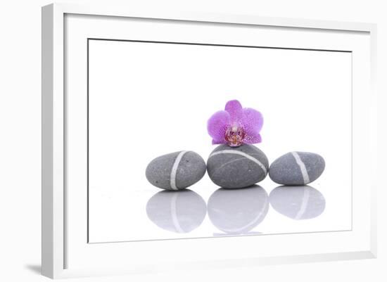 Stacked of Striped Stones and Pink Orchid-Apollofoto-Framed Photographic Print