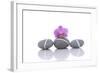 Stacked of Striped Stones and Pink Orchid-Apollofoto-Framed Photographic Print