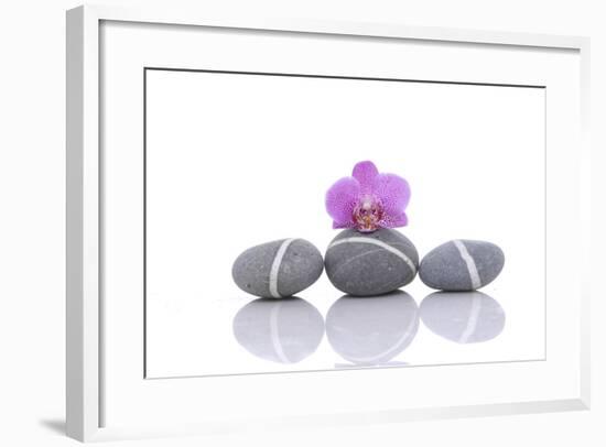 Stacked of Striped Stones and Pink Orchid-Apollofoto-Framed Photographic Print