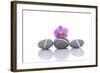 Stacked of Striped Stones and Pink Orchid-Apollofoto-Framed Photographic Print