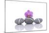 Stacked of Striped Stones and Pink Orchid-Apollofoto-Mounted Photographic Print