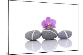 Stacked of Striped Stones and Pink Orchid-Apollofoto-Mounted Photographic Print