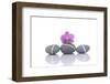 Stacked of Striped Stones and Pink Orchid-Apollofoto-Framed Photographic Print