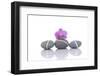 Stacked of Striped Stones and Pink Orchid-Apollofoto-Framed Photographic Print