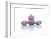Stacked of Striped Stones and Pink Orchid-Apollofoto-Framed Photographic Print