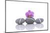 Stacked of Striped Stones and Pink Orchid-Apollofoto-Mounted Photographic Print