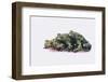 Stacked Oriental Fire-Bellied Toads-DLILLC-Framed Photographic Print