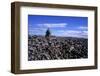 Stacked Rock Sculpture among Rocky Coastline.-Arctic-Images-Framed Photographic Print