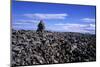 Stacked Rock Sculpture among Rocky Coastline.-Arctic-Images-Mounted Photographic Print