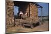 Stacking Bales of Hay in Dutch Barns, c1960s-CM Dixon-Mounted Photographic Print