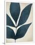 Gramercy White