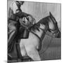 Wood Mount